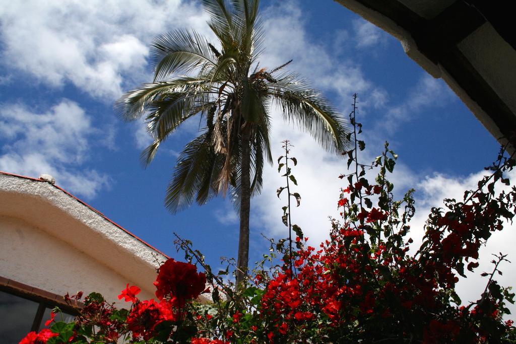 Casa Macondo